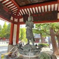 Sensoji Temple • Tokyo 🇯🇵 Japan