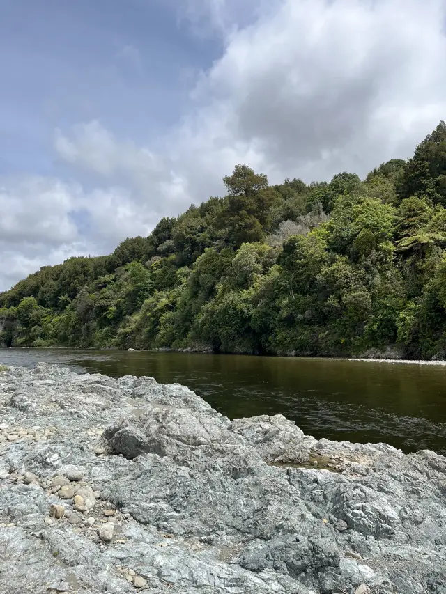 【NZ】ウェリントンでロードオブザリング聖地巡り
