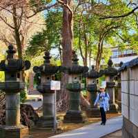 景點推薦：上野東照宮，夏日綠意中的古老神社