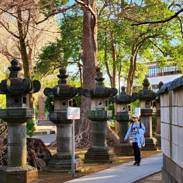 景點推薦：上野東照宮，夏日綠意中的古老神社