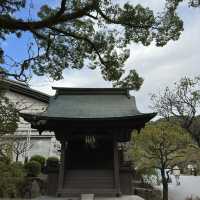 Nature’s Beauty and History: My Stunning Visit to Dazaifu Tenmangu!