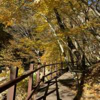 Nature’s best, Seoraksan
