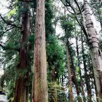 錐麓古道：綠野中的歷史足跡 🌿🚶‍♂️