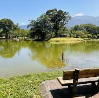 Nature’s Beauty and Timeless Charm: My Day at Taman Tasik Taiping!