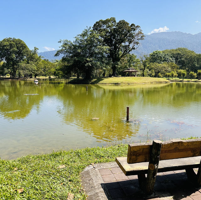 Nature’s Beauty and Timeless Charm: My Day at Taman Tasik Taiping!