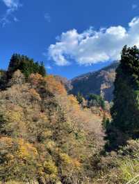 【新潟×日本の絶景】  渓谷の紅葉🍁が映し出される水面のリフレ  トンネル内も楽しめます！