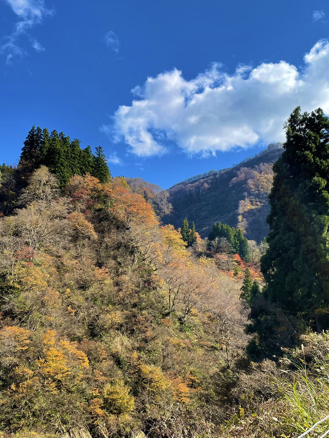 【新潟×日本の絶景】  渓谷の紅葉🍁が映し出される水面のリフレ  トンネル内も楽しめます！