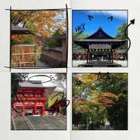 露天神社：靈性之地 ✨⛩️