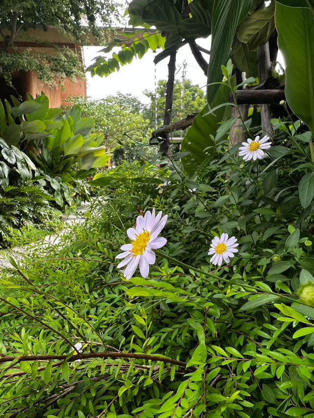 Horme cafe คาเฟ่นนทบุรี