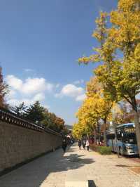 🇰🇷首爾紅葉 🍁市中心也有這麼漂亮的地方？🍂來這裡就夠！