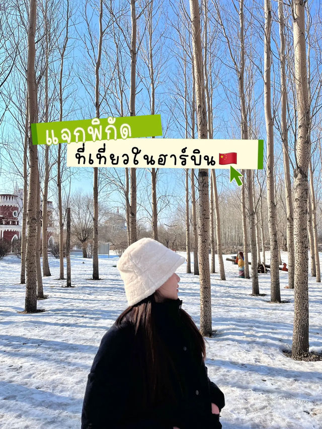 แจกพิกัดที่เที่ยวในฮาร์บิน🇨🇳☃️