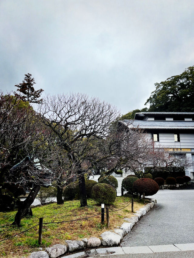 ไปขอพรเรื่องเรียนที่ Dazaifu Tenmangu