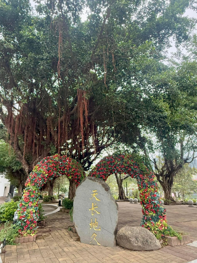 深圳一日遊🙈東方夏威夷之大梅沙😳全新文青體驗🙆🏻‍♀️