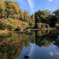 【京都紅葉】京都旅ゆったり紅葉狩りはここ！平安神宮神苑