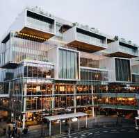 Literary Haven: Cozy Moments at Tsutaya Books Hirakata!