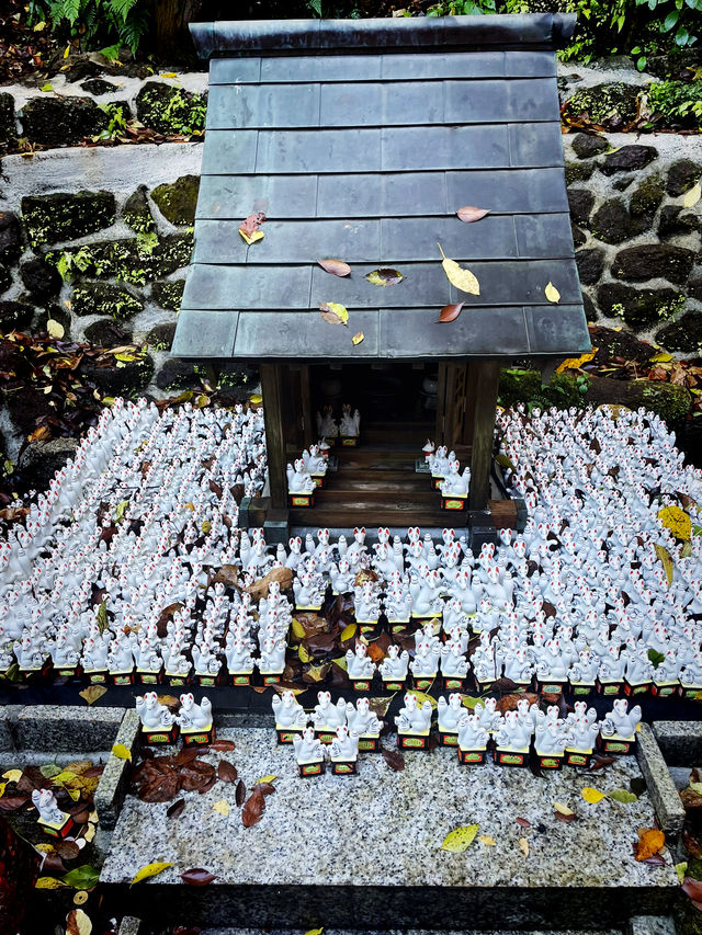 【神奈川県/鎌倉　白狐の置物がたくさん並ぶ神秘的な場所『佐助稲荷神社』】