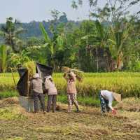 Discovering Tranquility in Sideman, Bali