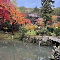 紅葉の名所、古刹「洞光寺」。