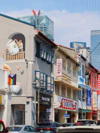 Awesome visit to chinatown Singapore 🇸🇬 