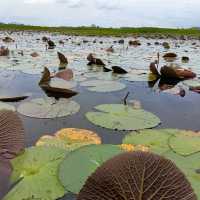 Explore Southern Thailand: A 3D2N trip from Penang to Hatyai & Phatthalung 