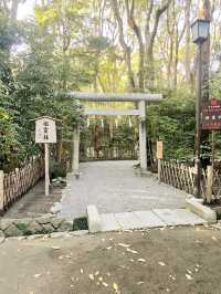 【神奈川県/鎌倉　生命力を感じる”大銀杏”の紅葉が美しい『鶴岡八幡宮』】