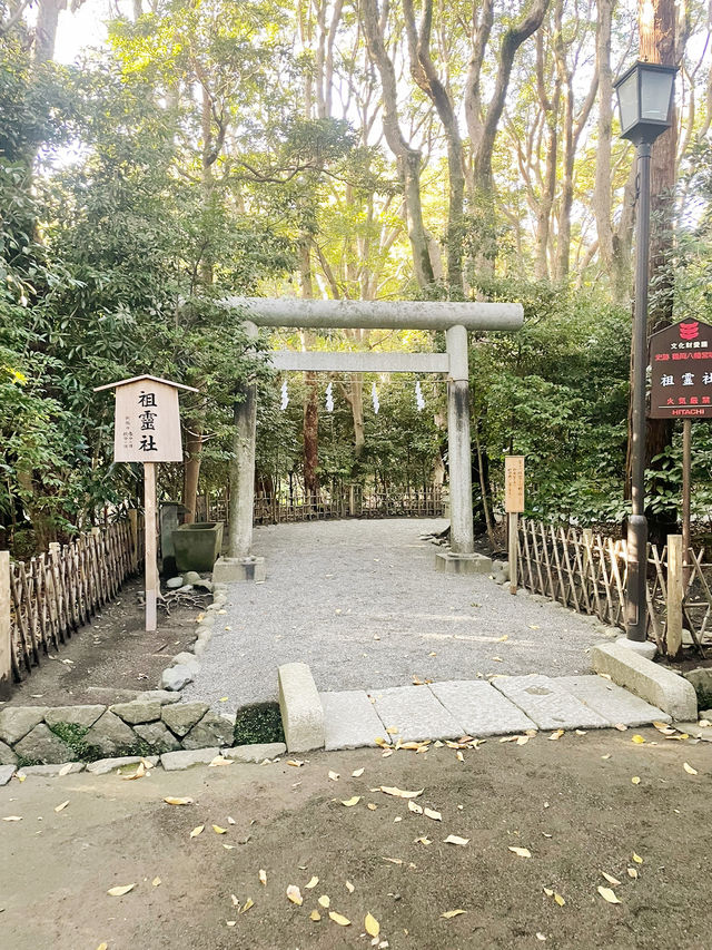 【神奈川県/鎌倉　生命力を感じる”大銀杏”の紅葉が美しい『鶴岡八幡宮』】
