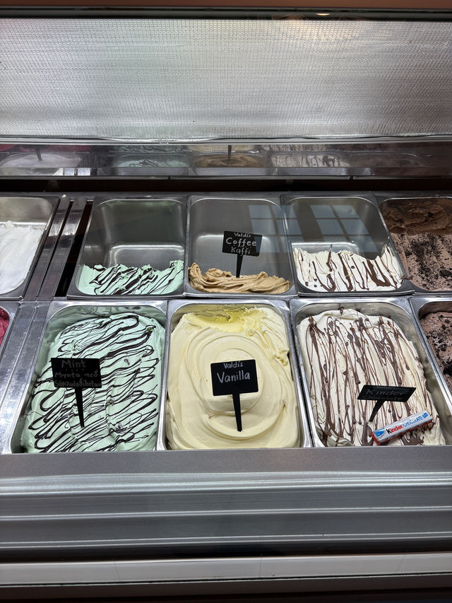 <레이캬비크> 추운 겨울에도 아이스크림이 땡길 때 ‘valdis'🍦🍦