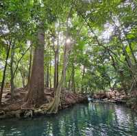 น้ำผุดธรรมชาติบ้านท่าช้าง (น้ำผุดปากช่อง)