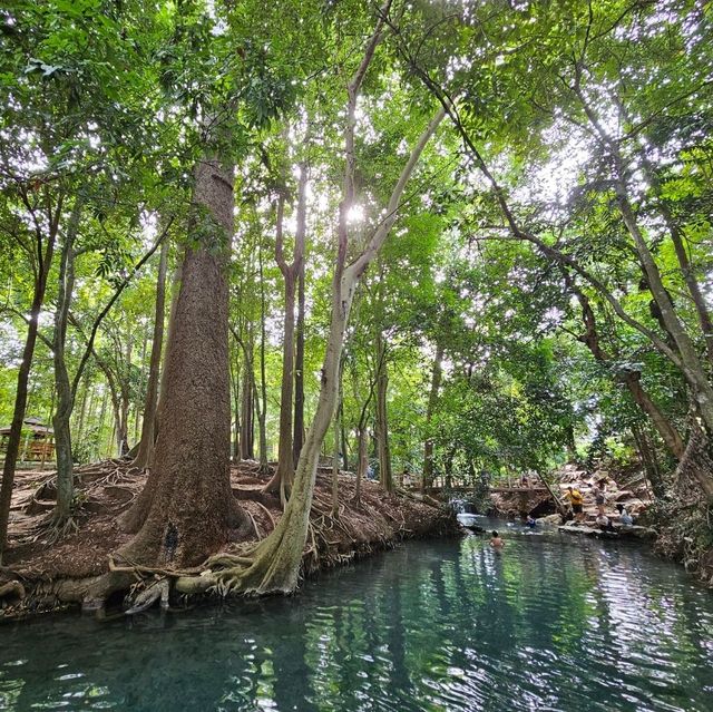 น้ำผุดธรรมชาติบ้านท่าช้าง (น้ำผุดปากช่อง)
