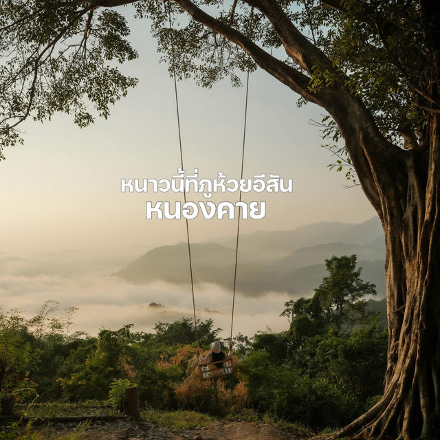 ทะเลหมอกหนองคาย