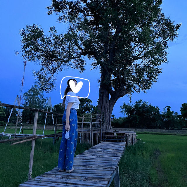 บ้านนาฟ้าอรุณ🌅 ที่พักบรรยากาศดี จังหวัดศรีสะเกษ