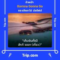 ไหว้หลวงพ่อโต @ วัดไชโยวรวิหาร อ่างทอง