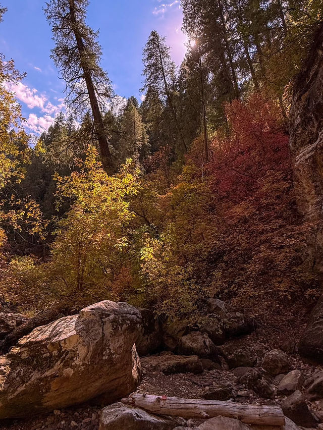 A Day of Canyon Climbing in Arizona