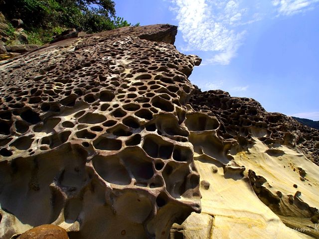 【高知県】そこは地質の博物館！奇岩奇勝の「竜串海岸」