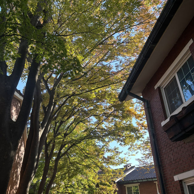 Seoul autumn