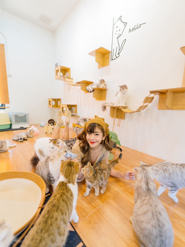 📍Parisa cafe & Restaurant  🍃🐈🧡