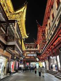 Yuyuan Old Street: Shanghai’s Nighttime Wonderland