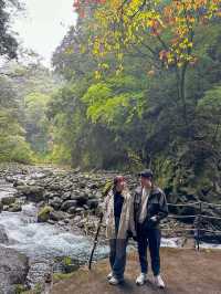Nature’s Masterpiece in Miyazaki
