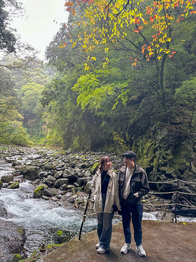 Nature’s Masterpiece in Miyazaki