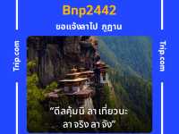 นิทรรศการ “เปื้อนยิ้มแป้แพร่จัดวาง” 
