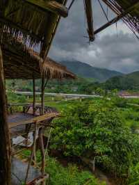 Sapan in rainy season.Nan province,Thailand