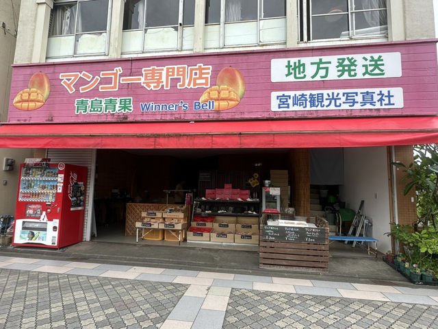 青島的自然生態岩石「鬼之洗衣板」及青島神社⛩️