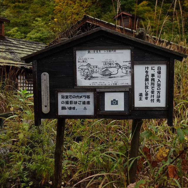 【秋田県】自然に囲まれた秘湯で温泉を楽しむ♨️