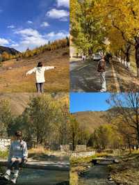 川西旅遊·秋天楓葉勝地新都橋