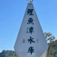 鯉魚潭水庫