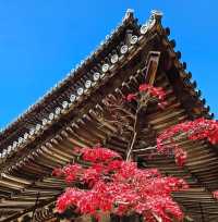 圓教寺〔大講堂〕千年禪意的歷史見證