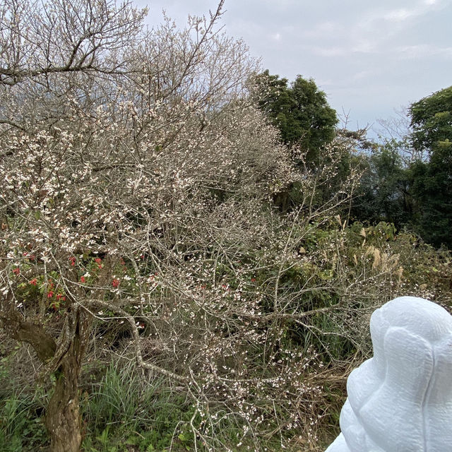 南投｜ 俯瞰日月潭全景的最佳地點