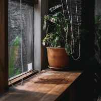 Good ambience