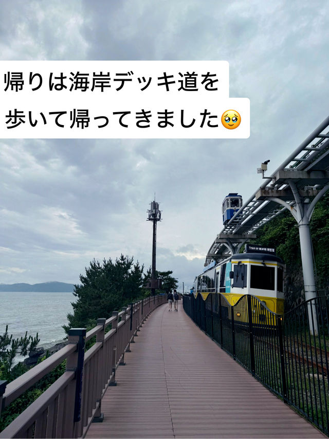 【釜山旅】青沙浦駅のおしゃれなオーシャンビューカフェ🫶