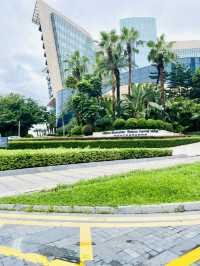 無敵🏝️海景的高性價比💰選擇